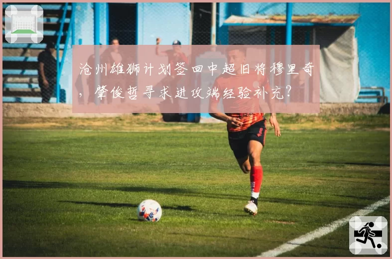 沧州雄狮计划签回中超旧将穆里奇,肇俊哲寻求进攻端经验补充?