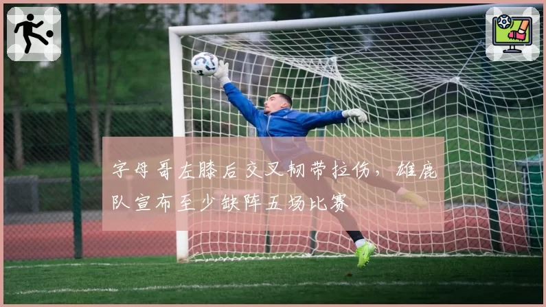 字母哥左膝后交叉韧带拉伤,雄鹿队宣布至少缺阵五场比赛
