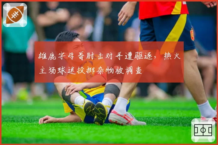 雄鹿字母哥肘击对手遭驱逐，热火主场球迷投掷杂物被调查