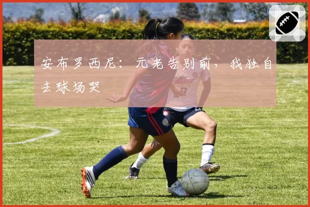 安布罗西尼：元老告别前，我独自去球场哭