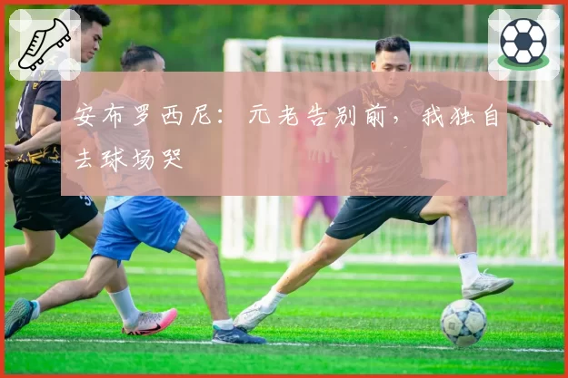 安布罗西尼:元老告别前,我独自去球场哭