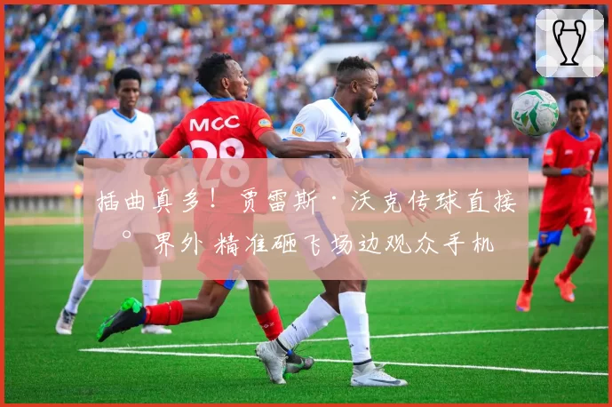 插曲真多！贾雷斯·沃克传球直接到界外 精准砸飞场边观众手机