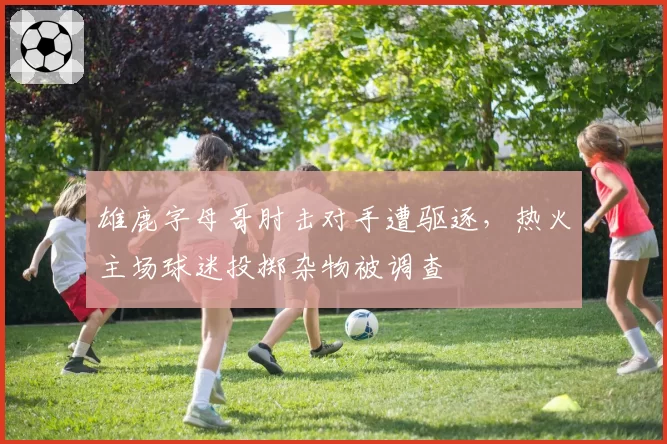 雄鹿字母哥肘击对手遭驱逐，热火主场球迷投掷杂物被调查