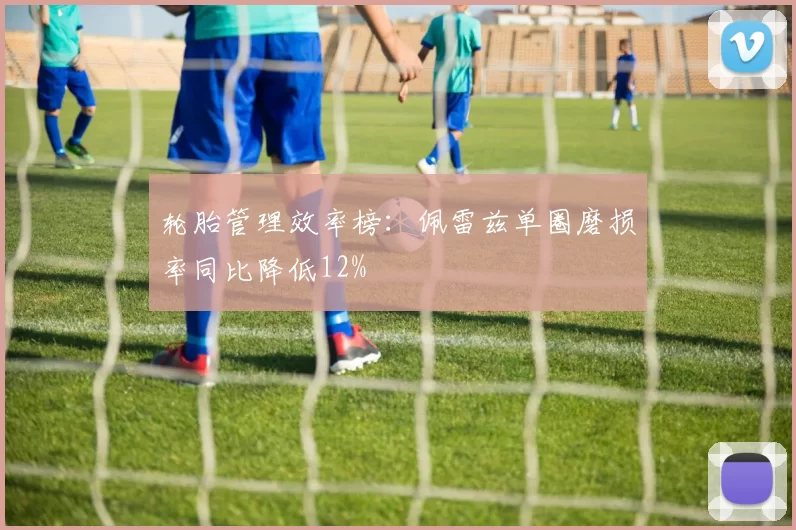 轮胎管理效率榜：佩雷兹单圈磨损率同比降低12%