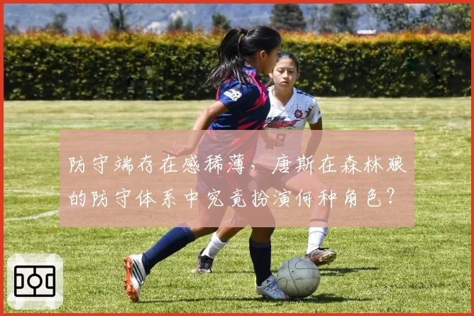 防守端存在感稀薄，唐斯在森林狼的防守体系中究竟扮演何种角色？